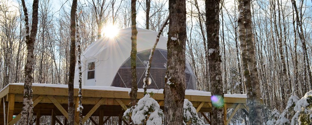 Tree Top Haven Tree PODS PEI